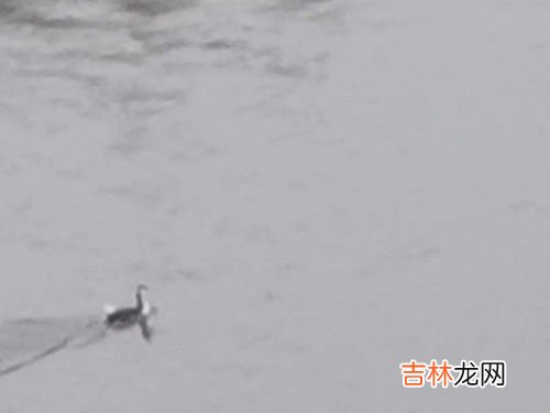 河流凹岸侵蚀凸岸堆积原因,怎么根据凹岸和凸岸判断侵蚀岸还是堆积岸？
