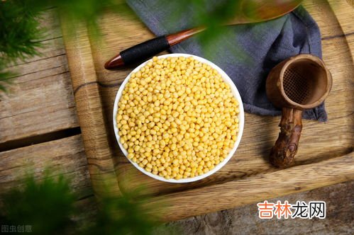 小米营养价值及功效与禁忌,小米功效及营养价值 小米的禁忌