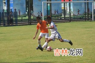 足球踢球有哪些脚法,踢足球脚法