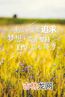 早安经典语录,经典早安语录
