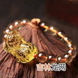 和貔貅长差不多的是什么动物,貔貅像一种什么动物啊，谁知道？