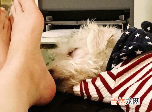 袜子臭的原因,为什么袜子穿了一天会有臭味?