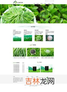 绿茶网络用语什么意思,绿茶网络用语什么意思,什么叫绿茶网络用语