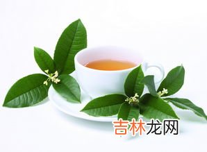 甘道芯茶的功效,脂肪肝,怎么造成的,严重吗?可自愈吗?