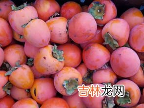 苹果可以和柿子一起吃吗,柿子和苹果能不能一起吃