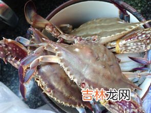螃蟹为什么会变成红色,龙虾螃蟹为什么会变红