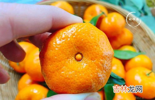 柑子是上火还是去火,吃柑橘去火还是上火
