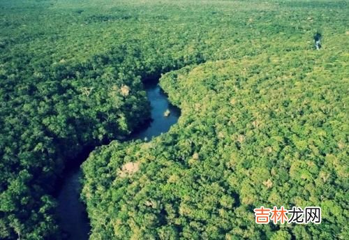 亚马逊雨林有人居住吗,亚马逊平原为什么无人居住