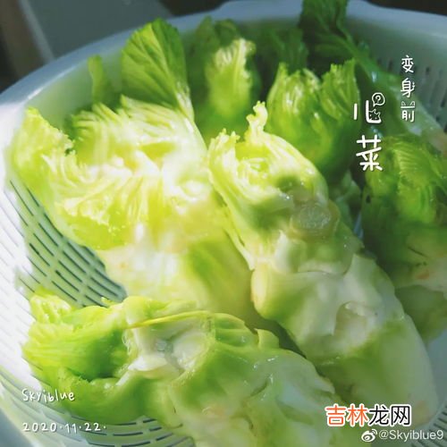 儿菜什么季节上市,茭儿菜的简介