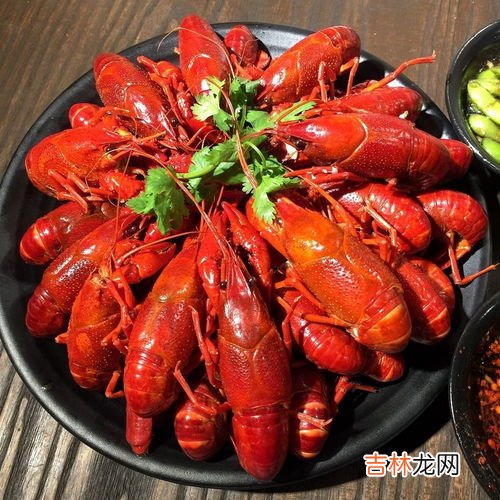 小龙虾为什么不能吃 小龙虾能吃吗,小龙虾能吃吗?