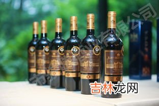 路易拉菲属于什么档次的红酒,路易拉菲和拉菲传奇是一个牌子吗