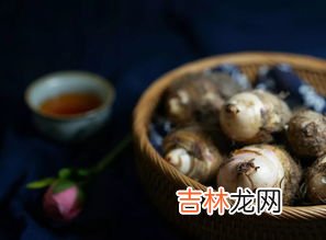 泥螺是什么,泥螺食用对身体有什么作用？