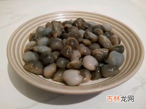 泥螺是什么,泥螺食用对身体有什么作用？