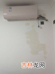 便池发黄用什么清洗干净,卫生间便池黄垢怎么清理