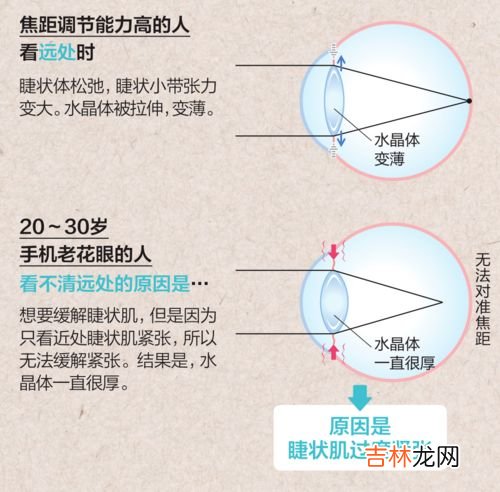 纵波是上下颠簸还是水平摇晃,地震是先上下摇晃还是先左右摇摆