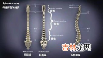 纵波是上下颠簸还是水平摇晃,地震是先上下摇晃还是先左右摇摆