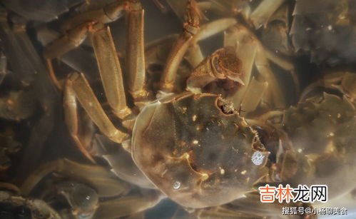 螃蟹死了冷藏能放几天,死螃蟹放冰箱能吃放多长时间