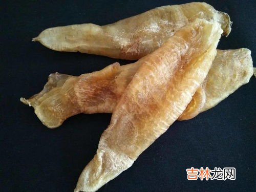 鱼鳔是什么,鱼鳔是什么东西