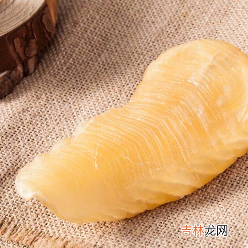 鱼鳔是什么,鱼鳔是什么东西