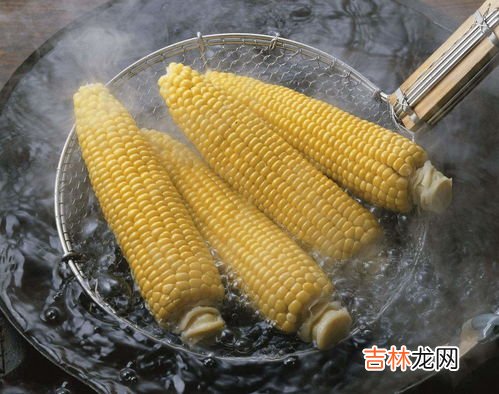 玉米煮多久就熟了,玉米要煮多久才能煮熟