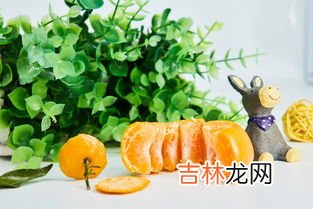 柿子可以和鸡肉一起吃吗,柿子和鸡肉能同食吗