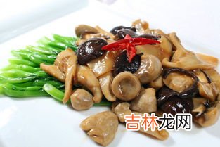 平菇和茄子能一起吃吗,菌子和茄子相克吗 菌子和茄子一起吃有什么好处