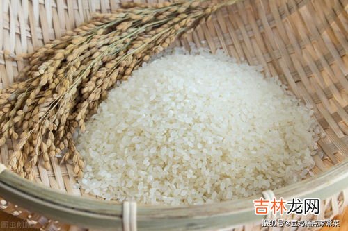 米里面长虫了怎么处理,米有虫子怎么处理
