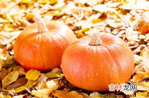 南瓜禁忌人群,南瓜不适合哪些人吃 南瓜的禁忌和副作用