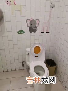 东西掉厕所怎么取出来,东西掉马桶怎么取出来