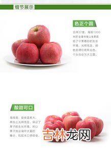 苹果是水果之王吗,苹果是水果之王吗
