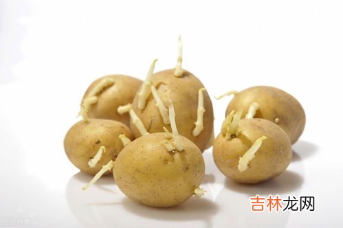 土豆发芽可以吃吗,土豆发芽了还能吃吗