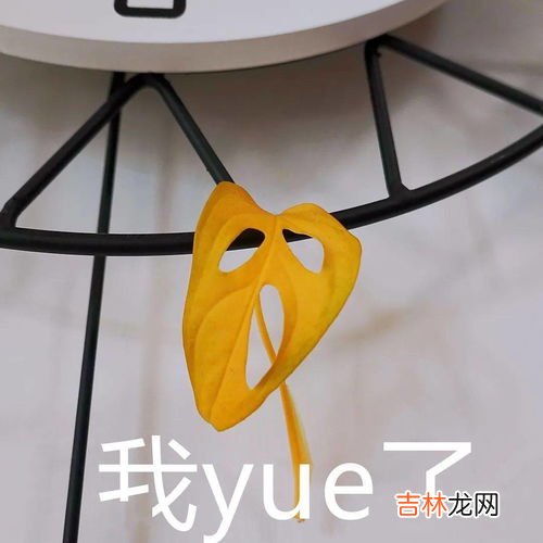 下沉气流增温为什么,关于高中地理逆温问题， 为什么气流下沉会有增温作用 气流下沉不是冷空气下沉吗