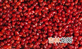 红豆属于豆制品吗,孕妇可以吃红豆吗
