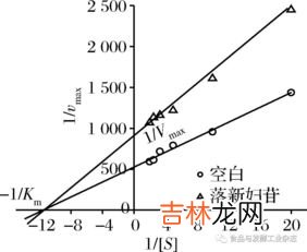 酶的活性中心,什么叫酶活性中心