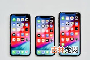xs啥意思,网络语xs是什么意思 网络语xs的意思