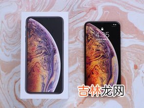 xs啥意思,网络语xs是什么意思 网络语xs的意思
