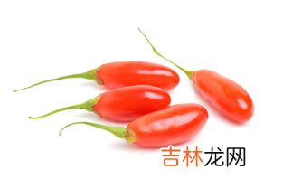 枸杞哪三种人不能吃,我想问一下什么人群不适合吃枸杞子