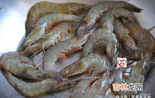 虾可以和蛋一起吃吗,虾和蛋黄可以一起吃吗