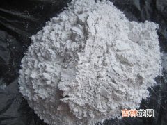 脆柿子表面白灰是石灰粉吗,柿饼上面的白色的粉末是什么啊？我怎么听有人说是石灰来的啊？