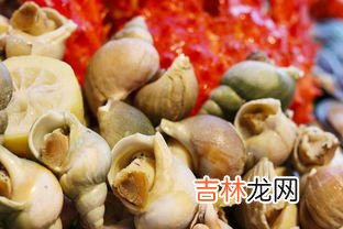 羊肉大闸蟹可以一起吃吗,螃蟹可以和羊肉同吃吗