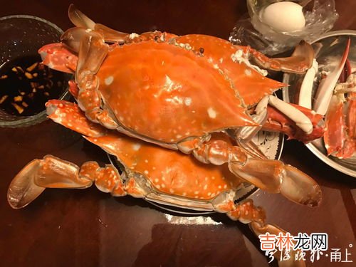 梭子蟹怎么养一天不死,梭子蟹怎么养不会死