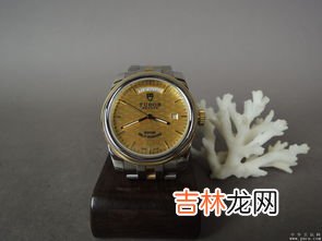 瑞士手表帝舵价格,请问TUDOR帝驼手表型号是6248-19.S5这款手表价值多少钱？