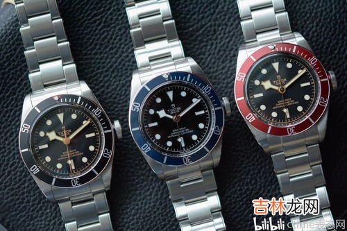 瑞士手表帝舵价格,请问TUDOR帝驼手表型号是6248-19.S5这款手表价值多少钱?