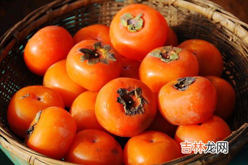 番茄和柿子可以一起吃吗,吃柿子可以吃番茄吗