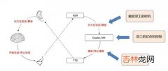 人际反应特质包括,人际关系