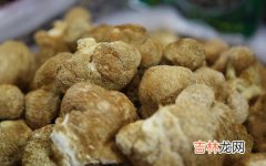 猴头菇可以生吃吗,猴头菇可以生吃吗 猴头菇的吃法和好处