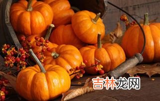 柿子和南瓜能一起吃吗,柿子和南瓜能一起吃吗