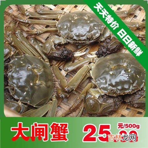 大闸蟹可以放冰箱吗,大闸蟹能放冰箱保存吗 大闸蟹冰箱保存方法