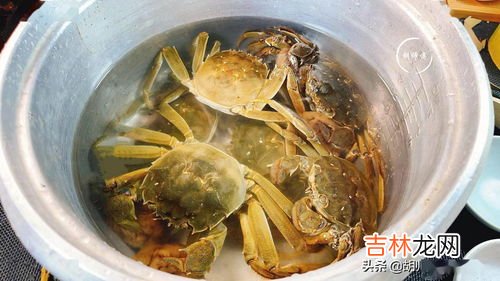 大闸蟹可以放冰箱吗,大闸蟹能放冰箱保存吗 大闸蟹冰箱保存方法