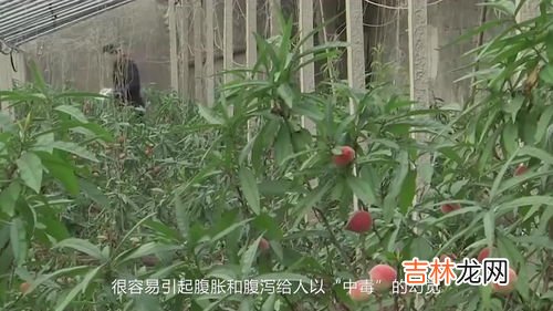 山楂和桃子能一块吃吗,山楂和什么不能一起吃